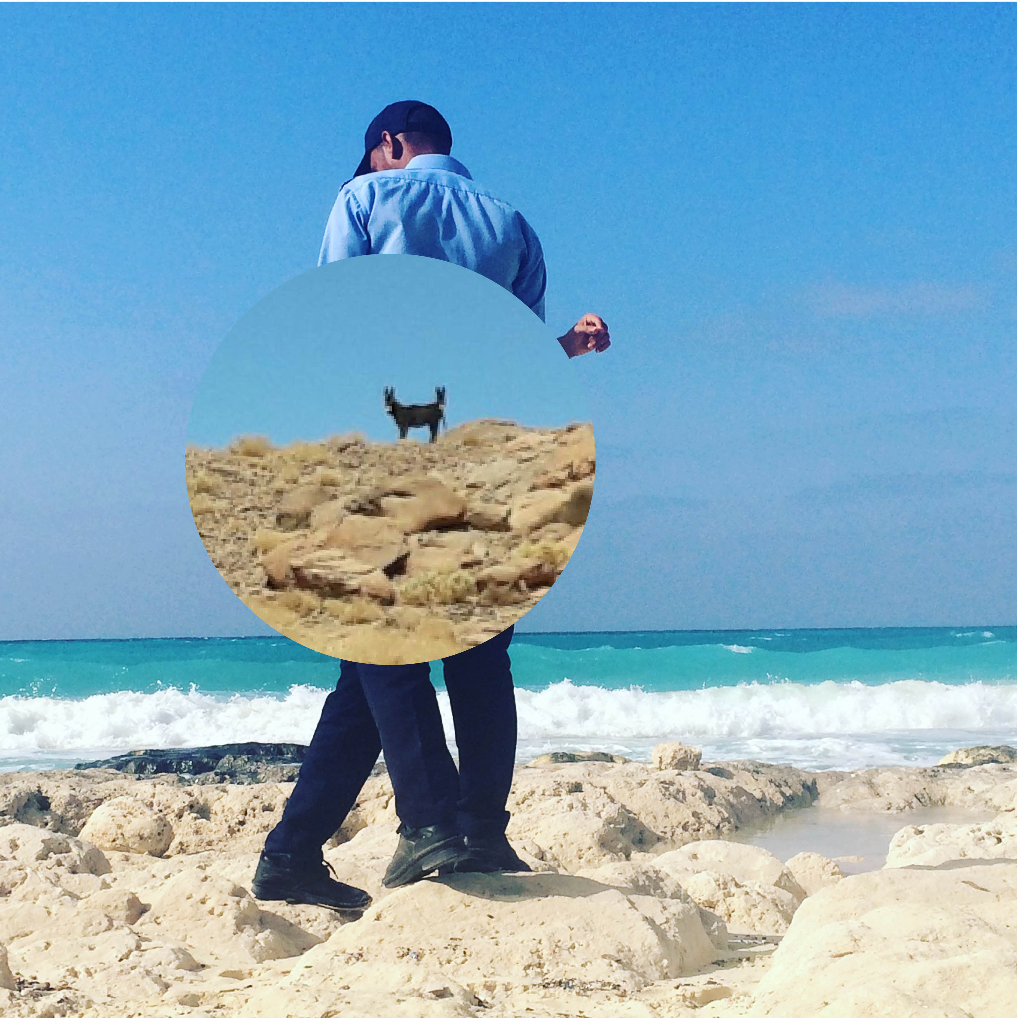 House Show Poster Photo.jpg