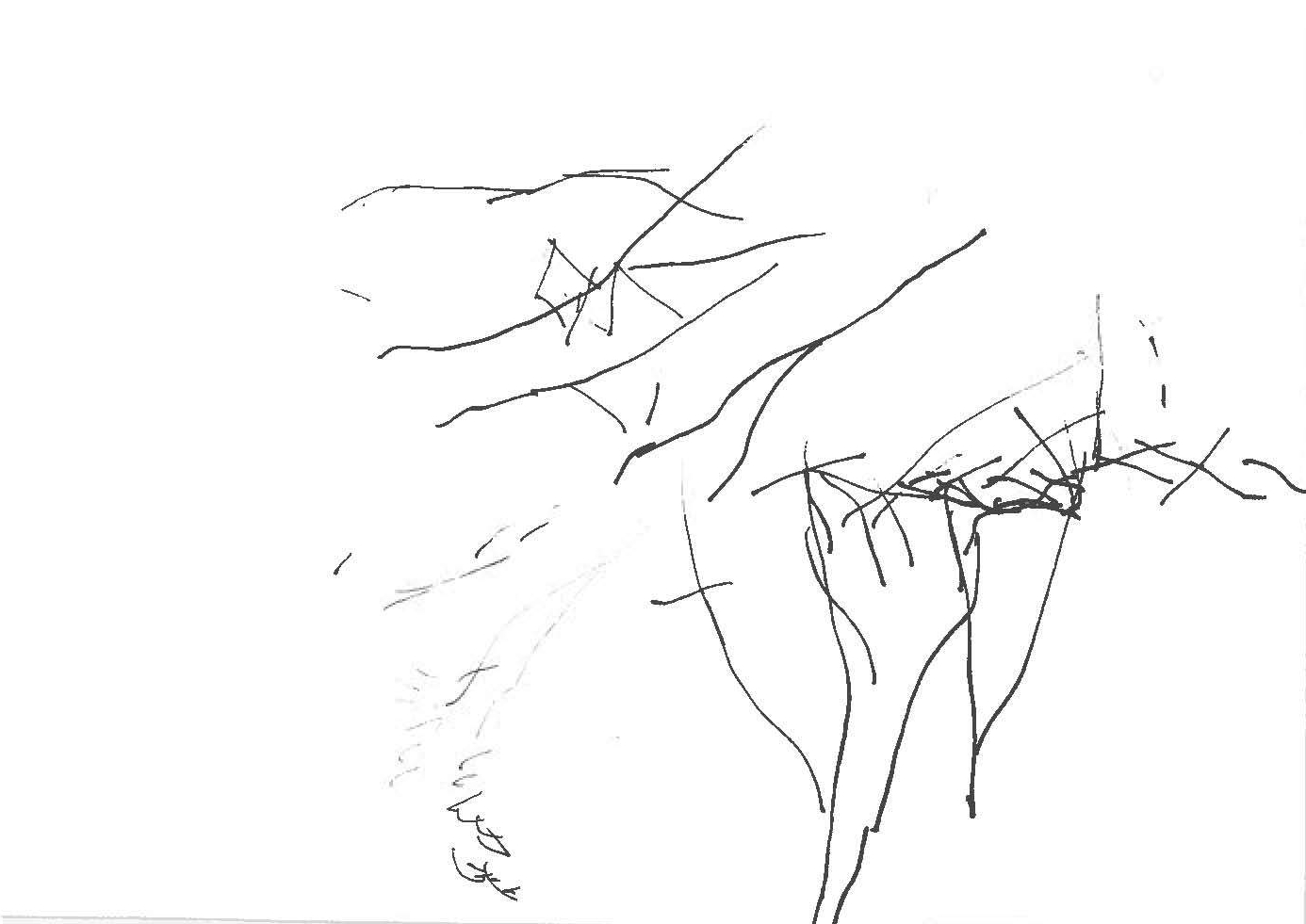 img-331160044_Page_1