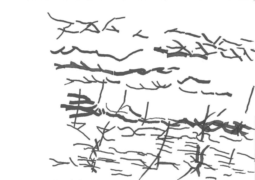 img-331160044_Page_2