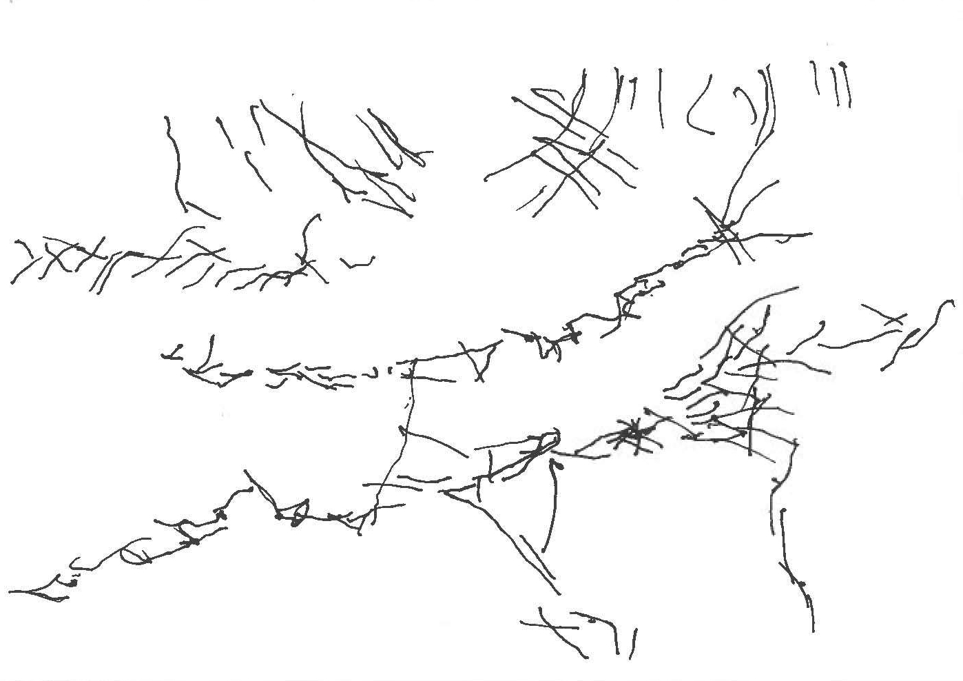 img-331160044_Page_3