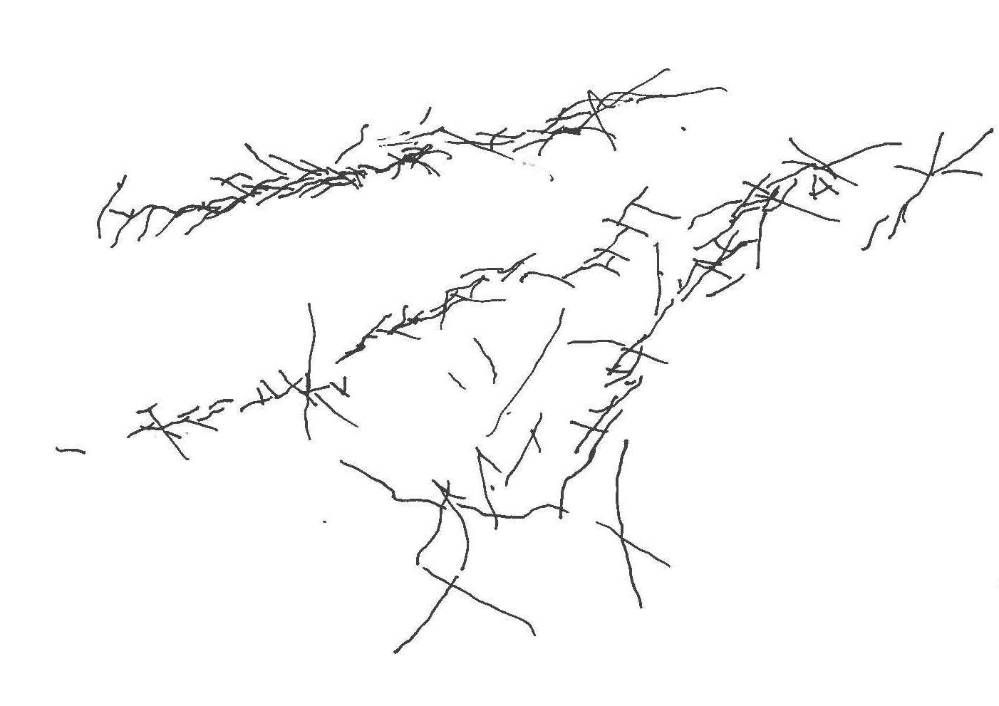 img-331160044_Page_4